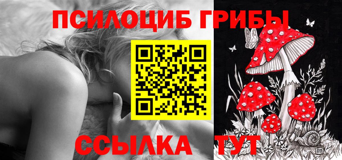 Галлюциногенные грибы Magic Shrooms Сланцы