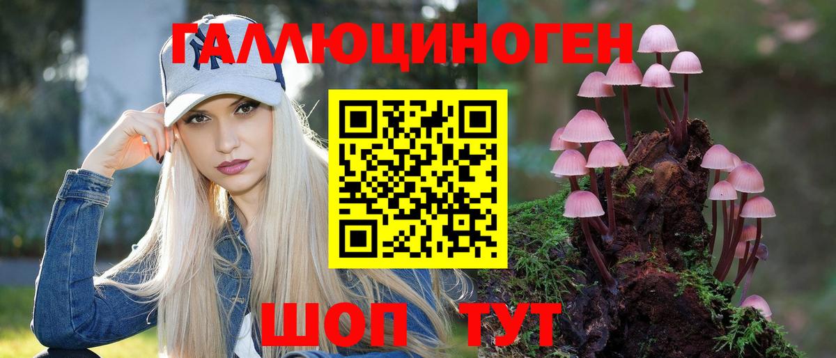 Сланцы  Галлюциногенные грибы Magic Shrooms  что такое   Вход с VPN 